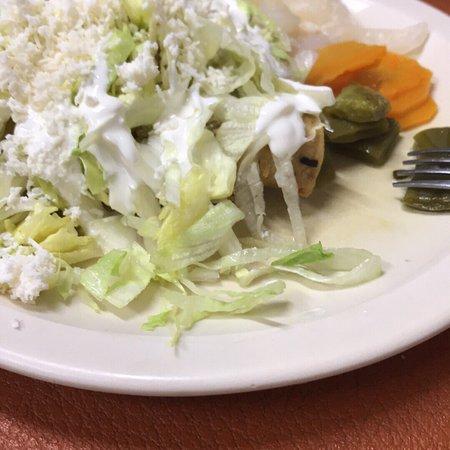 Los caprichos de la Doña